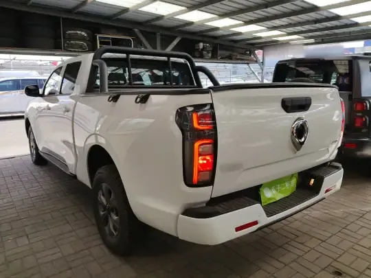 Great Wall Poer 2023 (9000 км)