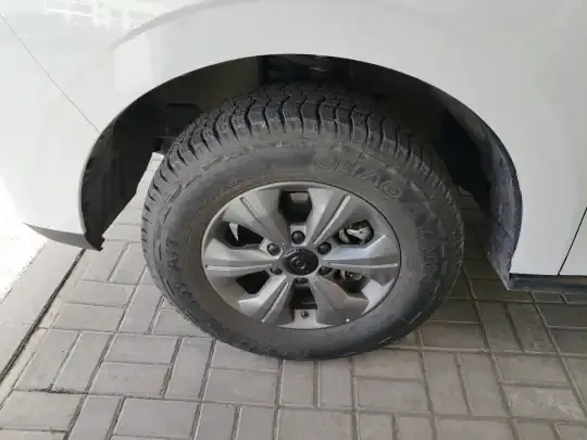 Great Wall Poer 2023 (9000 км)