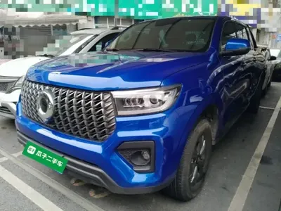 Great Wall Poer 2024 (51600 км)