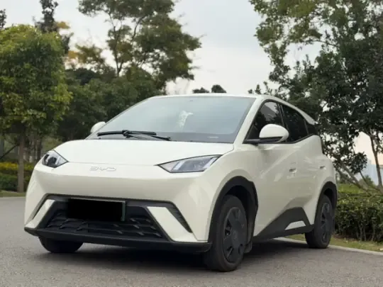 BYD Seagull 2025 (22300 км)