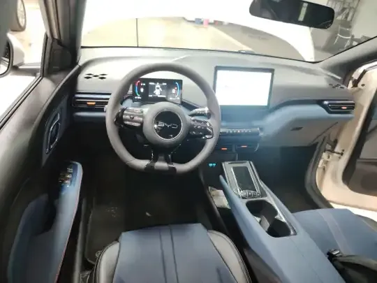 BYD Seagull 2025 (22300 км)