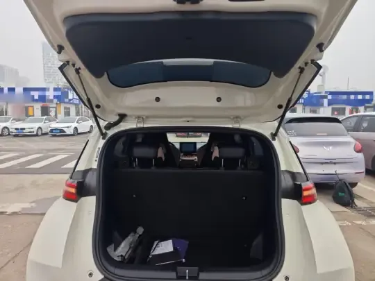 BYD Seagull 2025 (22300 км)