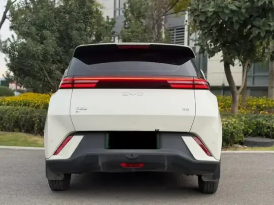 BYD Seagull 2025 (22300 км)