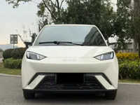 BYD Seagull 2025 (22300 км)