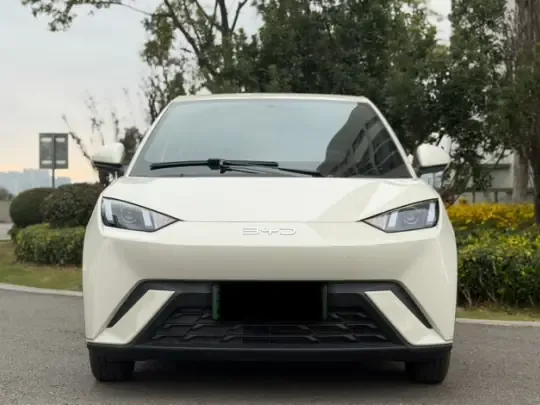 BYD Seagull 2025 (22300 км)
