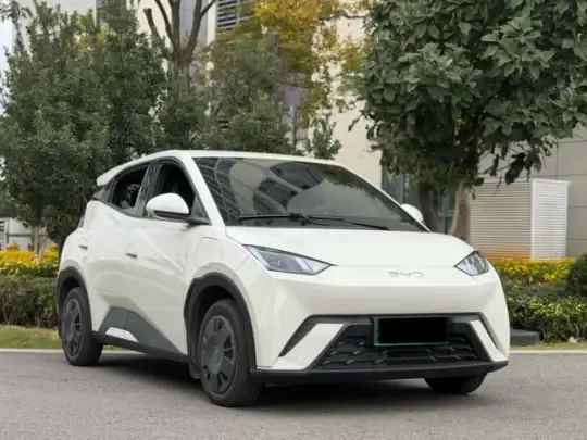 BYD Seagull 2025 (22300 км)