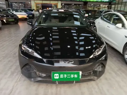 BYD Seal 2025 (4800 км)