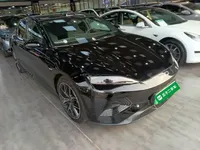 BYD Seal 2025 (4800 км)