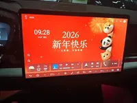 BYD Han 2025 (12200 км)