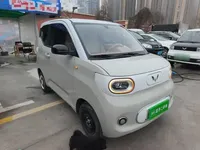 Wuling Hongguang MINIEV 2024 (5900 км)
