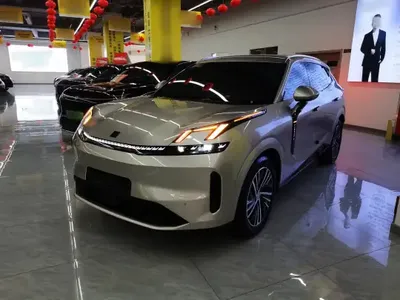 Lynk & Co 08 EM-P 2025 (14100 км)