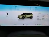 Lynk & Co 08 EM-P 2025 (14100 км)