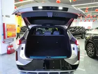 Lynk & Co 08 EM-P 2025 (14100 км)
