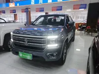 JMC DaDao 2024 (46700 км)