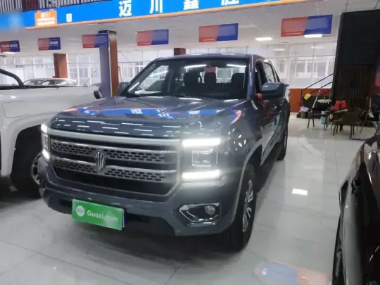 JMC DaDao 2024 (46700 км)