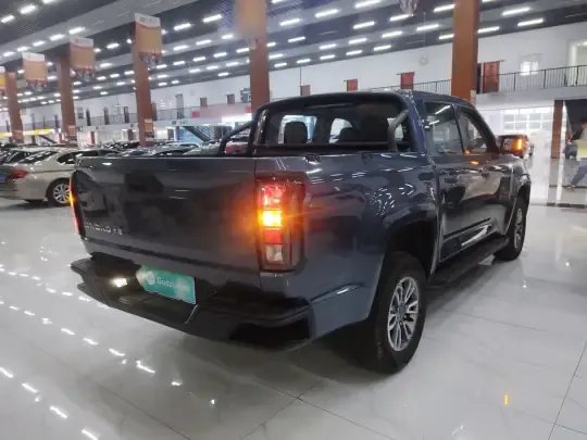 JMC DaDao 2024 (46700 км)