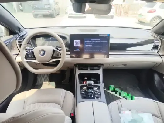 BYD Han 2025 (9100 км)