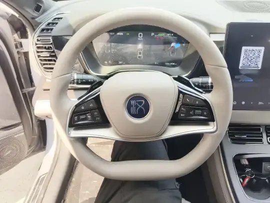 BYD Han 2025 (9100 км)