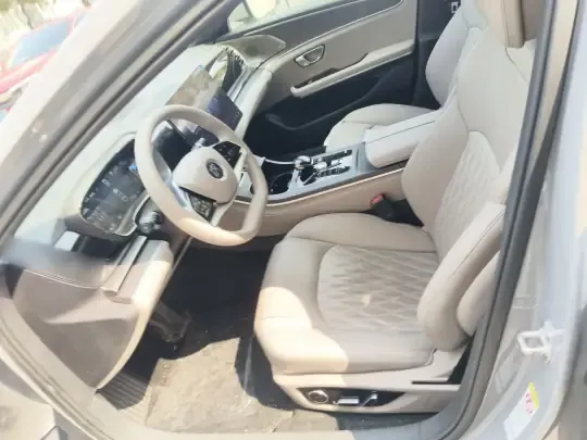 BYD Han 2025 (9100 км)