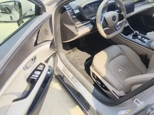 BYD Han 2025 (9100 км)