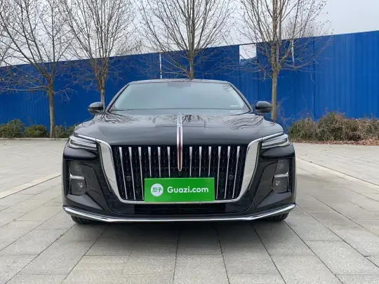 Hongqi H5 2025 (8800 км)