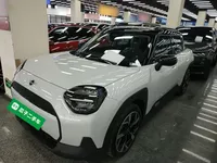 MINI Electric MINI ACEMAN 2024 (100 км)