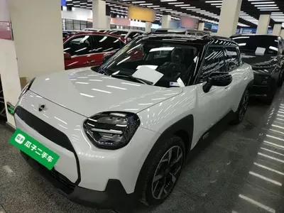 MINI Electric MINI ACEMAN 2024 (100 км)