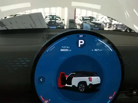 MINI Electric MINI ACEMAN 2024 (100 км)