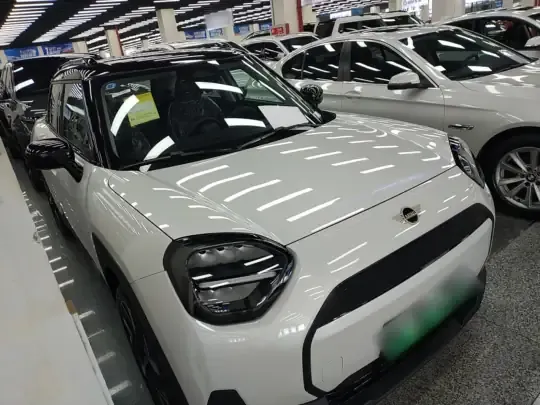 MINI Electric MINI ACEMAN 2024 (100 км)