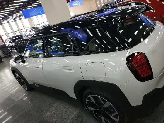 MINI Electric MINI ACEMAN 2024 (100 км)