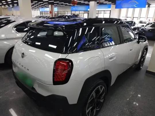 MINI Electric MINI ACEMAN 2024 (100 км)