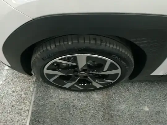 MINI Electric MINI ACEMAN 2024 (100 км)