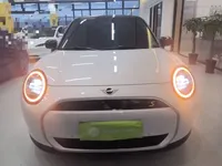 MINI Electric COOPER 2024 (11300 км)