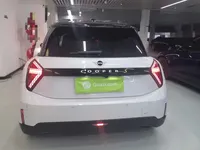 MINI Electric COOPER 2024 (11300 км)