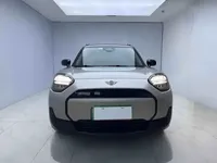 MINI Electric ACEMAN 2024 (6400 км)