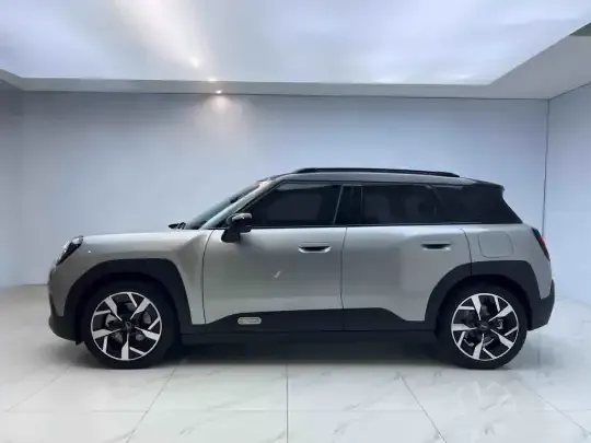 MINI Electric ACEMAN 2024 (6400 км)