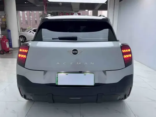 MINI Electric ACEMAN 2024 (6400 км)