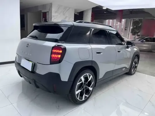 MINI Electric ACEMAN 2024 (6400 км)