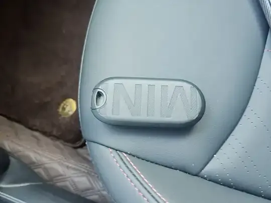 MINI Electric COOPER 2024 (5600 км)