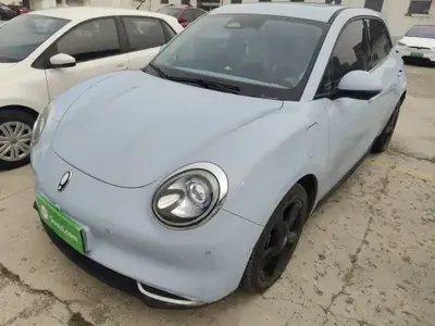ORA Good Cat 2024 (13100 км)
