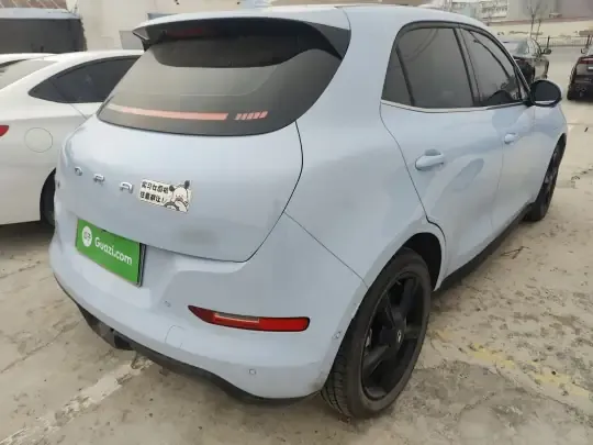 ORA Good Cat 2024 (13100 км)