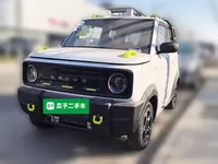 Geely Galaxy Panda 2025 (100 км)