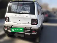 Geely Galaxy Panda 2025 (100 км)