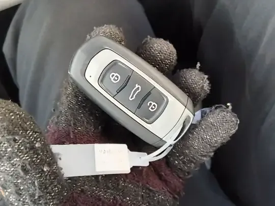 Geely Galaxy Panda 2025 (100 км)