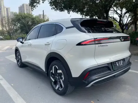 Baojun Yunhai 2024 (10700 км)