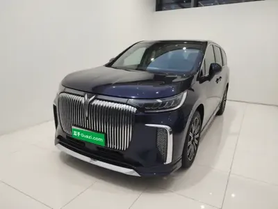 VOYAH Dream 2025 (14100 км)