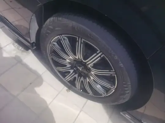 VOYAH Dream 2025 (14100 км)