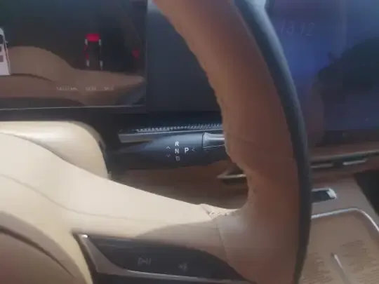VOYAH Dream 2025 (14100 км)
