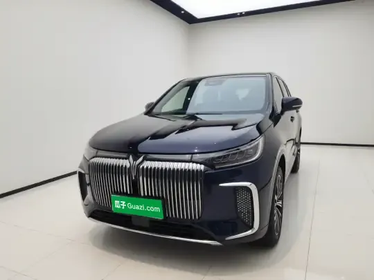 VOYAH Dream 2025 (14100 км)
