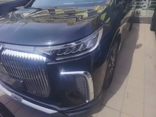 VOYAH Dream 2025 (14100 км)